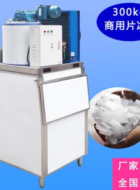 小型片冰机商用冰片机300公斤~30吨片冰机商超火锅店食品加工
