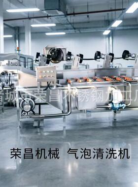 全自动果蔬气泡清洗机 304不锈钢净菜加工设备红枣辣椒板栗清洗线