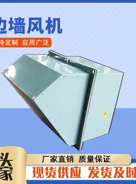 WEXD-300玻璃钢边墙风机带防雨罩防虫网壁式边墙通风机边墙排风机
