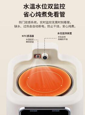 110V养生壶家用小型全玻璃壶身花茶壶出国留学烧水壶办公室煮茶壶