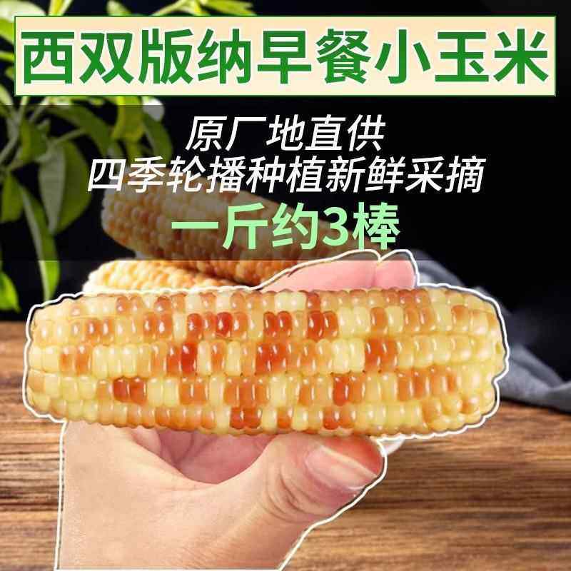 5斤云南西双版纳香糯小玉米真空包装花糯玉米学生上班代餐玉米棒,淘宝优惠券,粉丝福利购,淘宝优惠卷