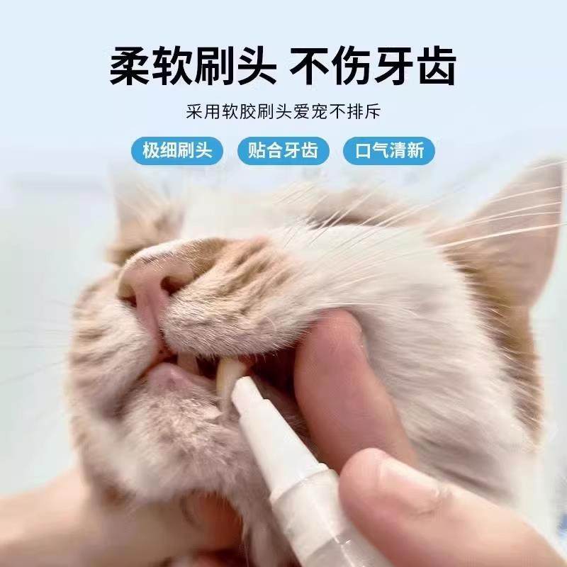 宠物牙刷笔牙膏一体猫狗口腔清洁结石除口臭狗狗套装猫咪刷牙,淘宝优惠券,粉丝福利购,淘宝优惠卷