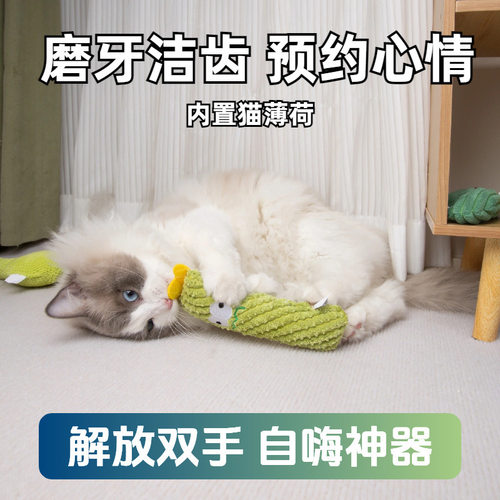 品质猫猫啃咬玩具猫薄荷抱枕毛绒仙人掌自嗨解闷猫咪可爱玩偶 - 图1