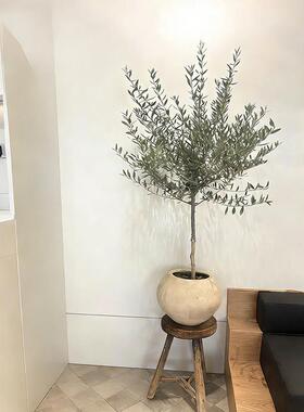 仿真橄榄树假树盆景室内装饰绿植商业空间软装高级仿生假植物摆件