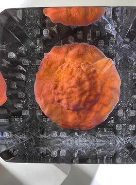 跨境小夜灯摆件奥海默原子弹爆炸蘑菇云创意水晶环氧树脂工艺品