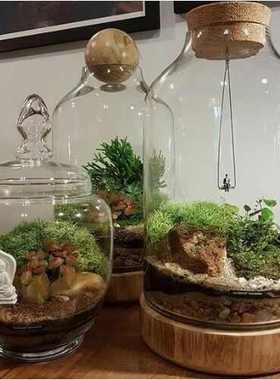 现代简约原木实木底托木球玻璃花瓶 北欧创意家居样板房室内摆设