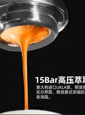 New party5020意式半自动摆摊咖啡机带磨豆机打奶泡商用咖啡机