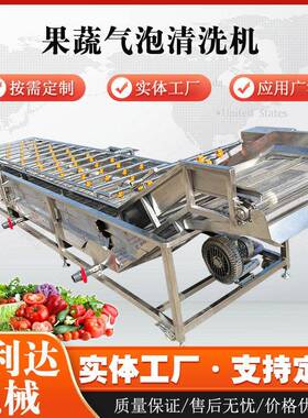 果蔬气泡清洗机香菇辣椒喷淋清洗设备小型秋葵柑橘水果清洗机