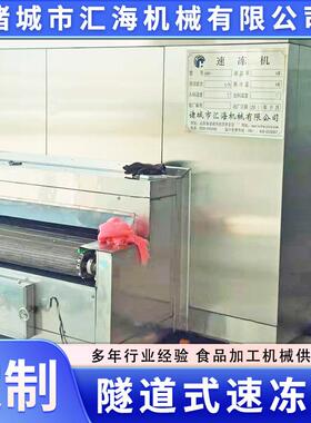 厂家供薯190条薯应片速冻 供应农副产品深加机速冻隧道工式速冻机