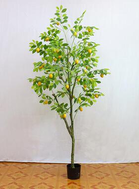 柠檬树仿真绿色植物木北欧风植物盆栽仿生假树室内造景轻奢风落地