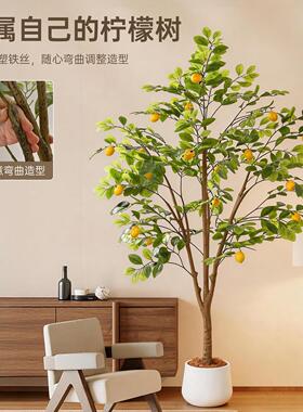 彷真绿色植物柠檬树客厅大型盆栽室内轻奢装饰花彷生植物落地摆件