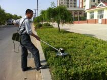 Multifunction electric trimmer for quick lawnmower rechargeable green hedge with winter turquoise green belt