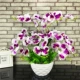 Đặc biệt hàng ngày phòng khách đồ nội thất mô phỏng Phalaenopsis chậu hoa đặt đồ trang trí đồ trang trí trong nhà nhựa giả - Trang trí nội thất đồ dcor bàn làm việc Trang trí nội thất