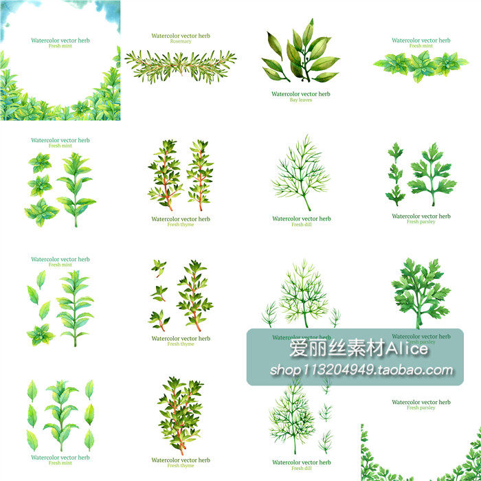 月桂樹葉推薦品牌 新人首單立減十元 21年6月 淘寶海外