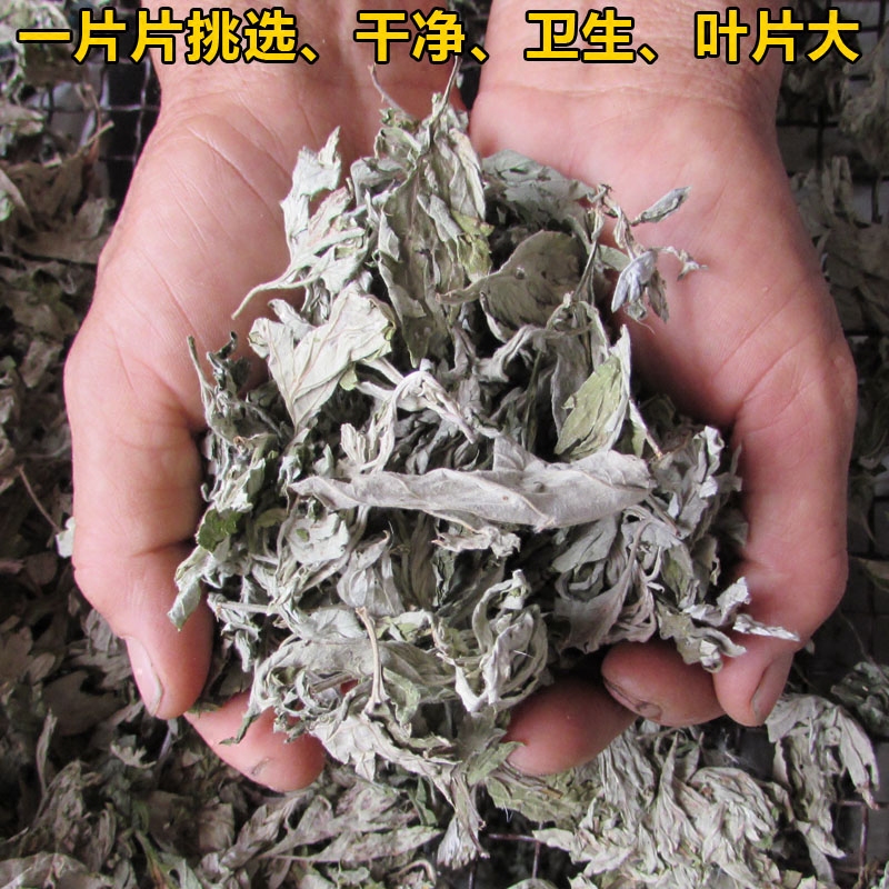 野生泡茶艾叶 可食用艾叶草 艾草叶 煮鸡蛋熏蒸 新鲜蕲艾叶500克 - 图0