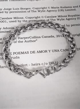 嘻哈钛钢蛇骨链手环男饰品不掉色