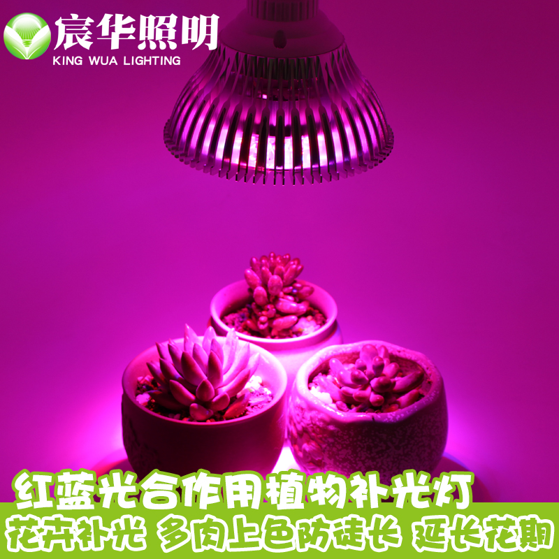 宸华植物生长灯多肉花卉蔬菜育苗全红黄蓝光合作用LED补光射灯-图1