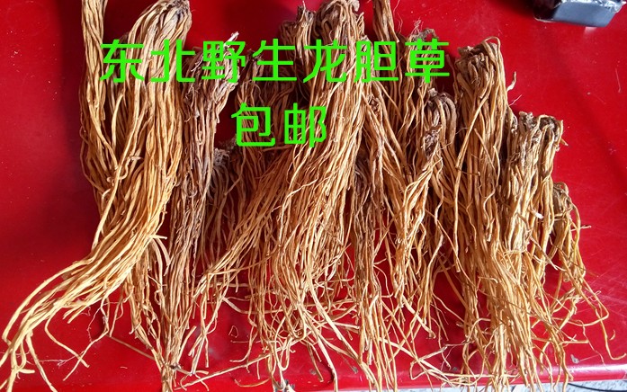 龙胆草 东北野生草药材龙胆草 苦胆草来自长白山脉  500克包邮 - 图2