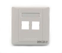 COMMSCOPE Comp double mouth panel without spring door with anti-dust cover model M12CF Fit shielding module