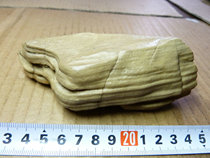 8179 the surface silicated wood of the Hama Great South Lake in Xinjiang 8179