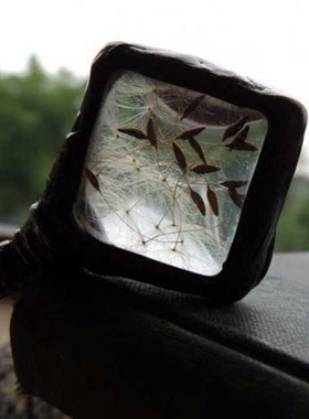 天然蒲公英花朵种子水晶球项链