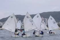 NeilPryde Optimist training sails for the training of the