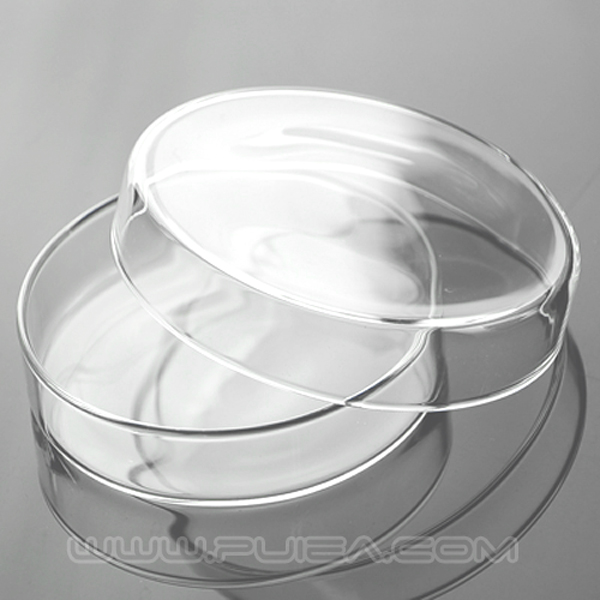 高硼硅玻璃培养皿Φ90*18mm 60*15mm耐高温细菌细胞培养玻璃平皿 - 图0