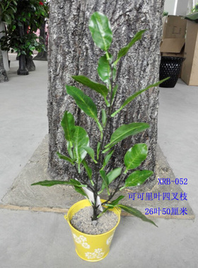 仿真特色绿灌木植物可可李叶秋茄叶工程布景拍摄点缀道具挂饰直销