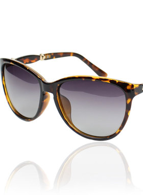 墨镜复古风偏光时尚太阳镜