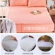 Giường bông 笠 một mảnh dày bông trải giường trải giường Simmons bảo vệ che bụi phủ giường ngủ mùa đông - Trang bị Covers