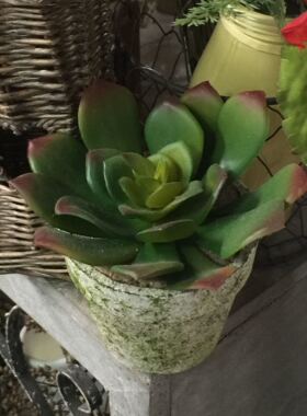 乡村风多肉植物仿真花做旧摆件