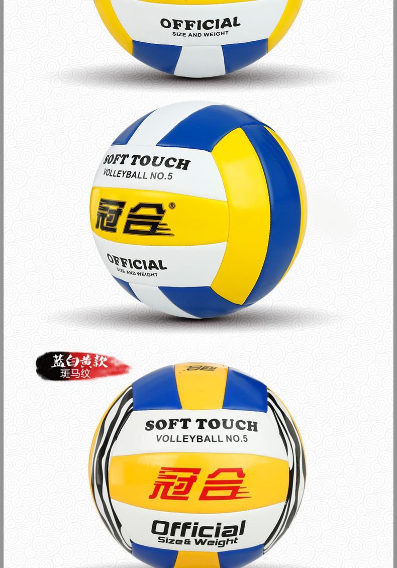 Ballon de volley-ball - Ref 2015978 Image 12