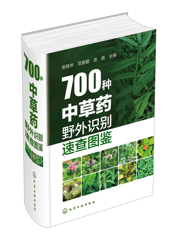 700种中草药野外识别速查图鉴 中草药彩图大全 中草药野外识别彩色图鉴 药剂学中医草药书 识别图全集 野生及栽培药用植物大全书籍 - 图1