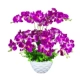 Đặc biệt hàng ngày phòng khách đồ nội thất mô phỏng Phalaenopsis chậu hoa đặt đồ trang trí đồ trang trí trong nhà nhựa giả - Trang trí nội thất