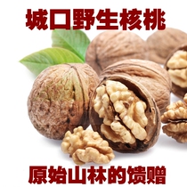 Chongqing City Mouth Special production of wild firewood fire-kang to bake walnut hand exfoliating snacks nuts dried fruit pecorino 500g