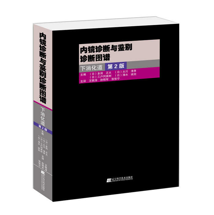 正版 内镜诊断与鉴别诊断图谱 下消化道  第二2版  翻译版 胃镜诊断图谱 消化内镜医 内镜医学 医学影像书籍 医学图谱书 辽宁科技 - 图3