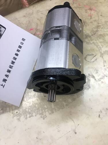 玛祖奇原装江苏省包邮乐液压泵罗茨2联泵待用台湾玉盟齿轮油泵 - 图3