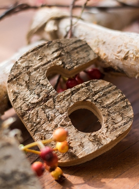 掬涵带皮白桦木数字墙饰森系道具