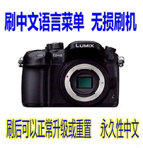 Panasonic GH5 GH4 GH4 FZ1000 FZ1000 GX8 G7G6 brushed in Chinese to activate the V-LOG