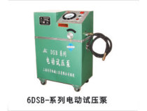 Zhengzong Shanghai Tongzhou Electric test pump 6DSB-2 5 4 0 6 3 10 16 40 Tongzhou Electric test pressure