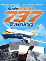 AOA Angle of Attack PMDG 737 NGX Training Special Collections