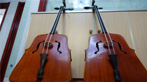 (Nagging the taster) Shenma instrument upscale professional deficiency of the violin professional playing upscale violin