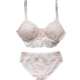 Cô gái Ren thắt lưng thấp Bra Set Sweet Bow Lace Princess Cotton underwear Sexy No Steel Bra - Bộ đồ lót