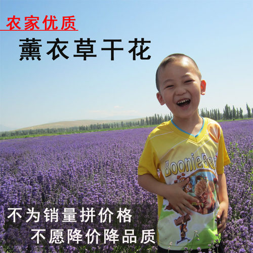 新疆伊犁65团薰衣草干花薰衣草花粒熏衣草花做枕头香包当季花 - 图2