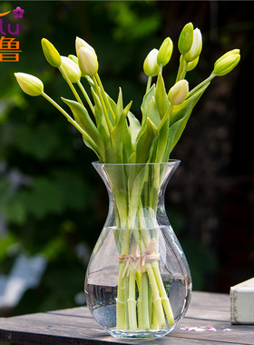 加厚透明大号玻璃花瓶欧式水培