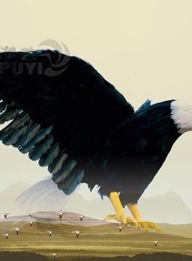 仿真羽毛工艺品老鹰摆件