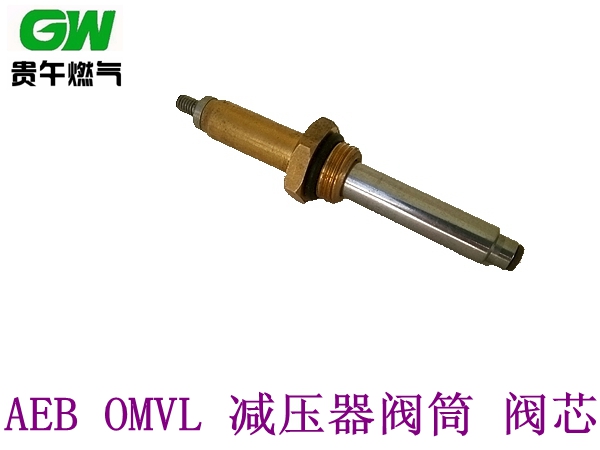 CNG配件 AEB OMVL 减压器阀筒阀芯 减压器维修包 天然气配件 - 图0