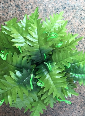 仿真绿植墙婚庆花艺蕨类波斯草