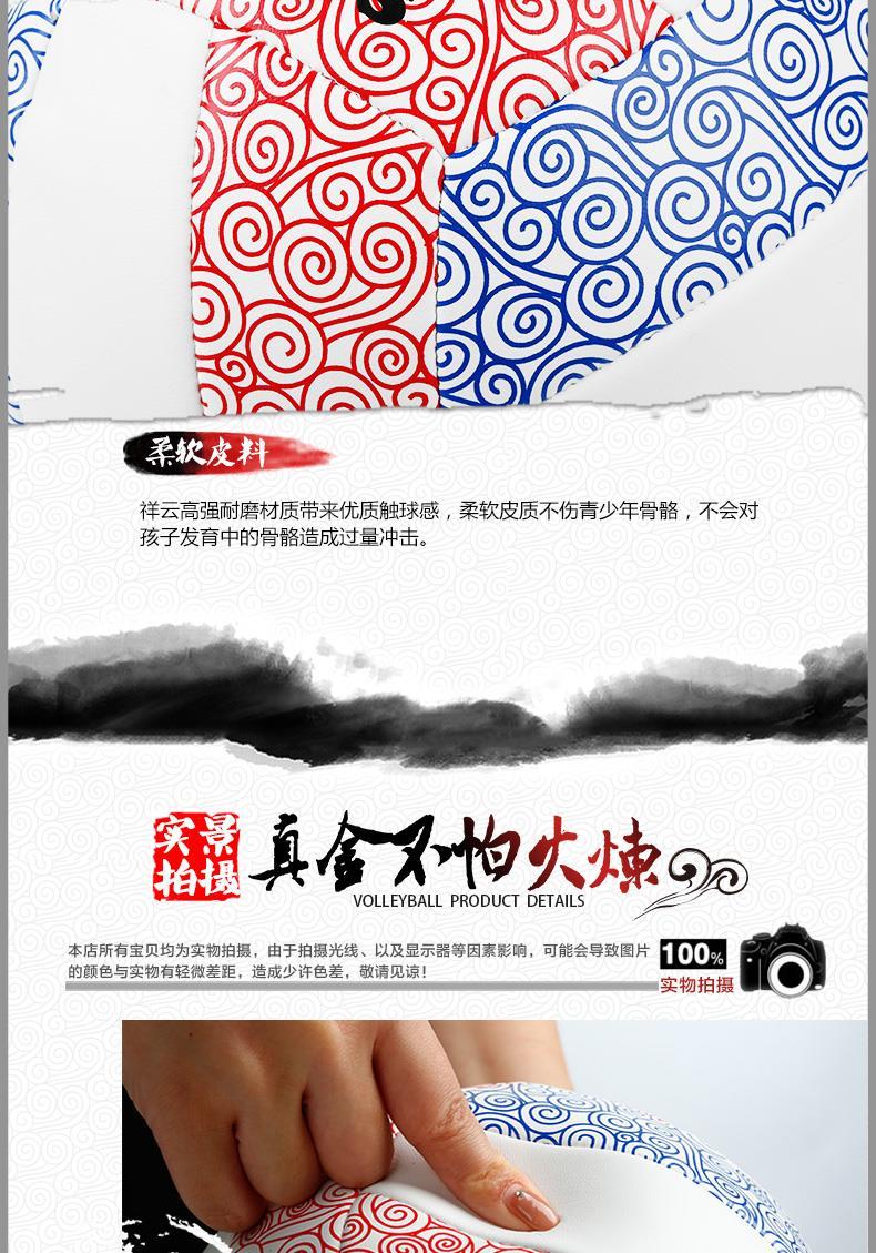 Ballon de volley-ball - Ref 2015978 Image 9