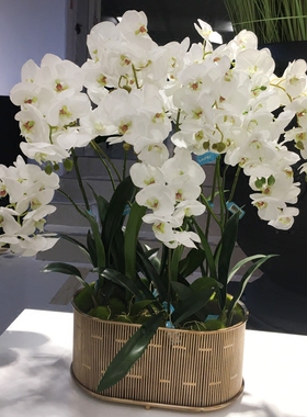 别墅会所软装仿真花蝴蝶兰摆件